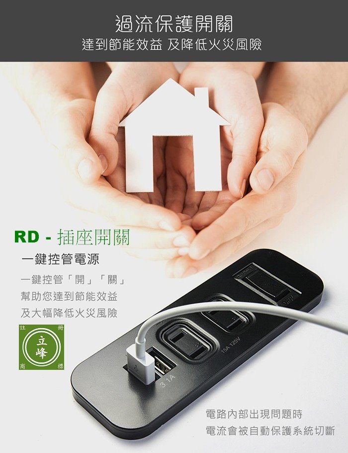 RD-2孔式插座開關